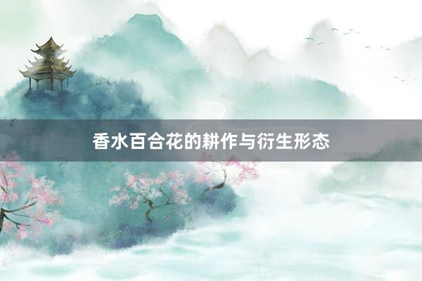 香水百合花的耕作与衍生形态