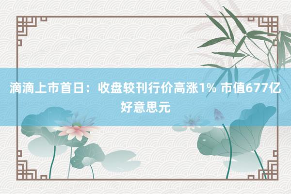 滴滴上市首日：收盘较刊行价高涨1% 市值677亿好意思元