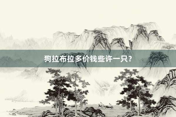 狗拉布拉多价钱些许一只？